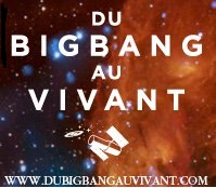 Du big bang au vivant